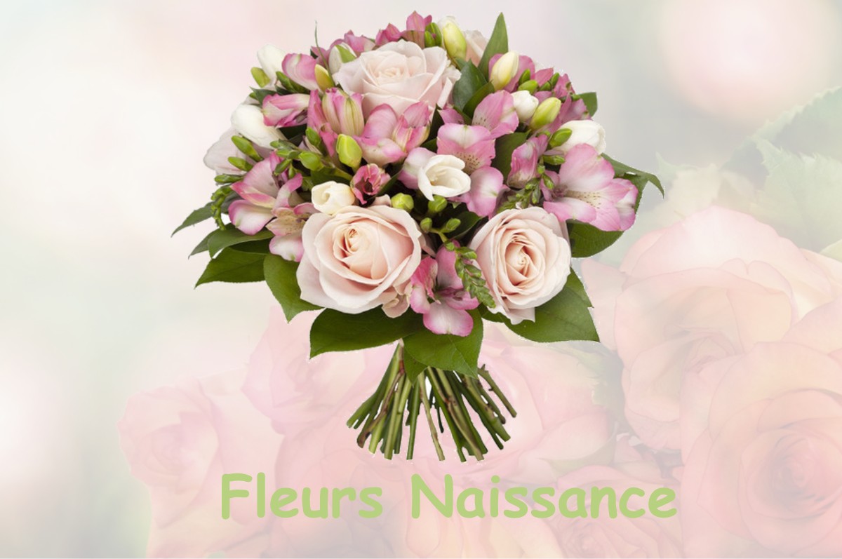 fleurs naissance MONTREUIL-SUR-LOIR